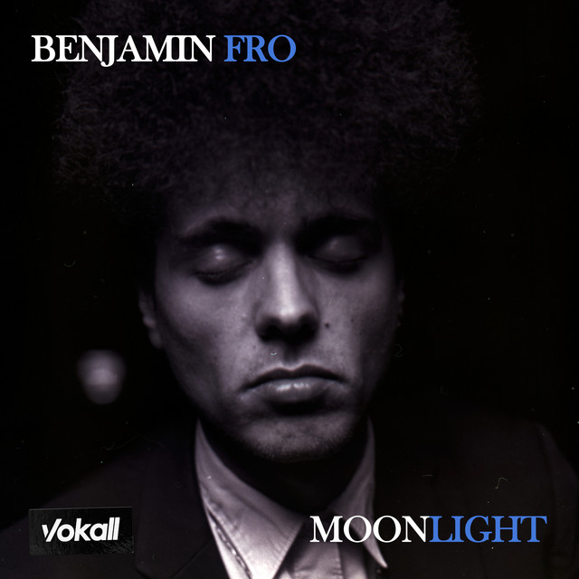 Benjamin Fro — Moonlight